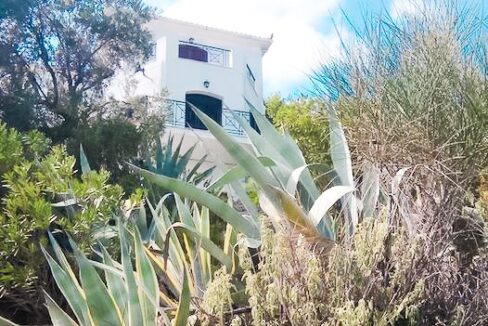 Villa near the sea Pounta Skiathos island, steps from the beach 8