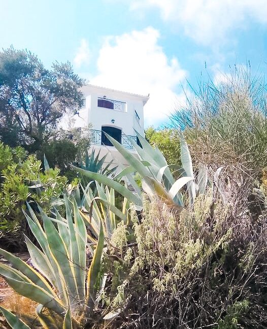 Villa near the sea Pounta Skiathos island, steps from the beach 8
