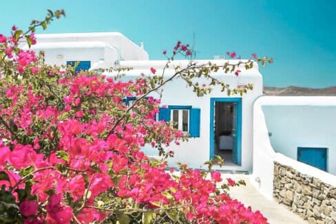 Sea View Property Panormos Mykonos , Mykonos Properties 4