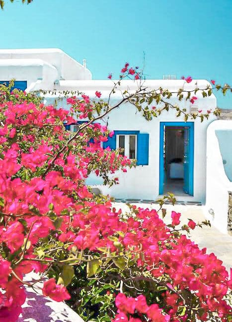 Sea View Property Panormos Mykonos , Mykonos Properties 7