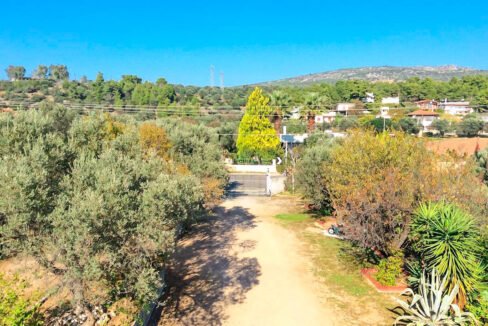 Seafront House in Evia Greece. Seafront Property in Euboea Greece 22