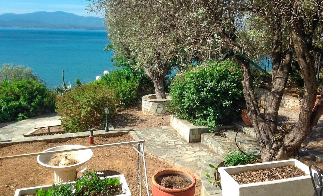 Seafront House in Evia Greece. Seafront Property in Euboea Greece 5
