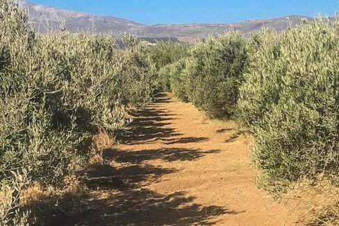 Seafront Land in Paros Greece to built, Land for Sale Cyclades Greece6