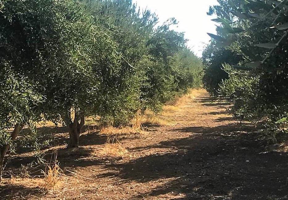 Seafront Land in Paros Greece to built, Land for Sale Cyclades Greece8