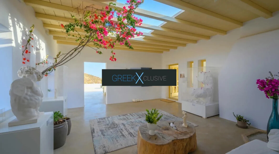Villa for Sale Mykonos 6