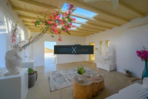 Villa for Sale Mykonos 6