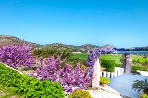 Beautiful Villa in Syros Island Cyclades Greece, Property in Cyclades Greece 27
