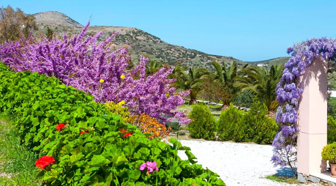 Beautiful Villa in Syros Island Cyclades Greece, Property in Cyclades Greece 28