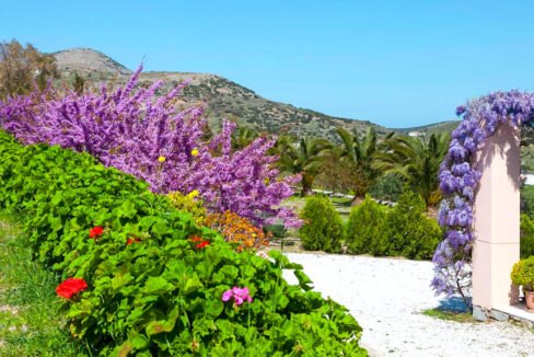 Beautiful Villa in Syros Island Cyclades Greece, Property in Cyclades Greece 28