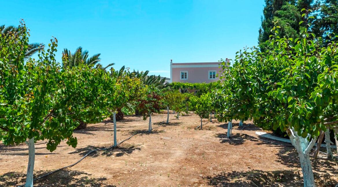 Beautiful Villa in Syros Island Cyclades Greece, Property in Cyclades Greece 34