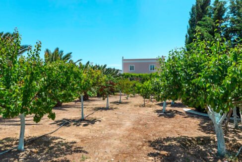 Beautiful Villa in Syros Island Cyclades Greece, Property in Cyclades Greece 34