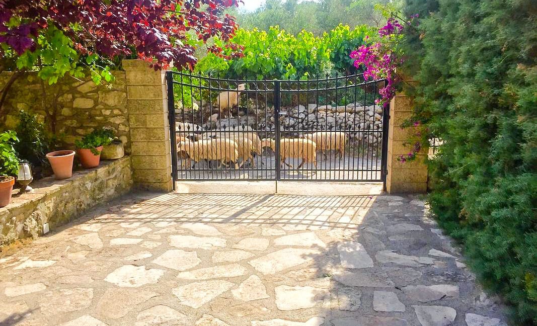 Property for sale in Rethymnon Crete, Properties Crete Greece 43