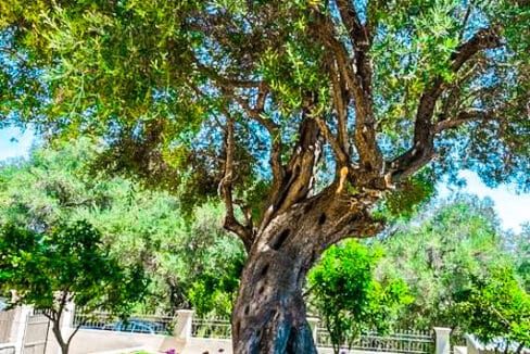 Sea View Villa Corfu Island, Corfu Homes for Sale 3