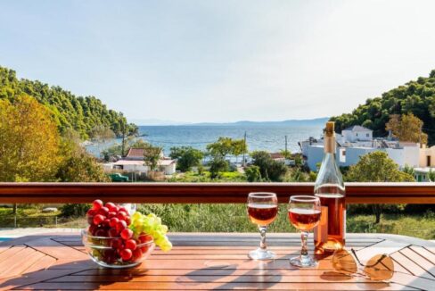 Apartments Hotel near the sea in Skopelos Greek Island , Skopelos Hotels for Sale, Greek Island hotel for Sale 2