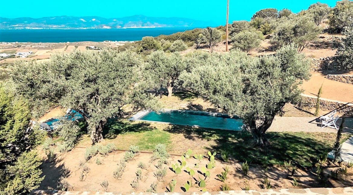 Villa with sea view and pool in Paros Island, Paros Homes for Sale, Paros Real Estate. Properties in Paros Greece 18