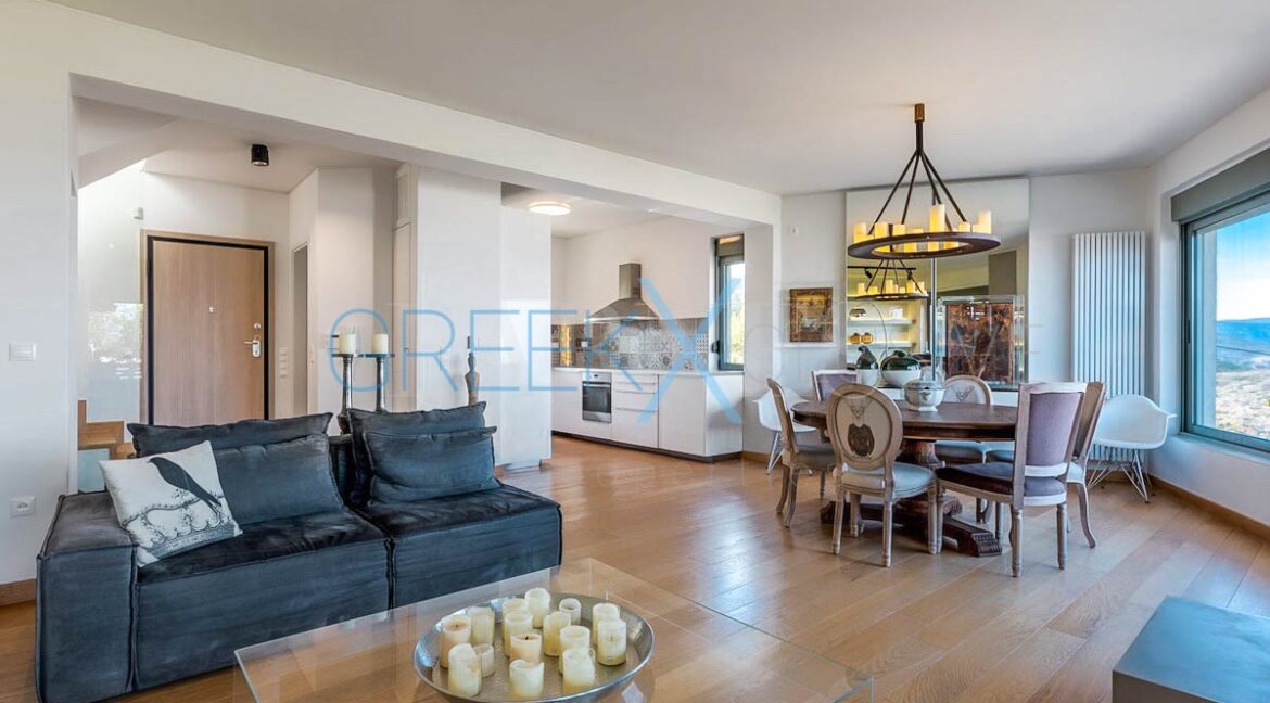 House for Sale in East Attica, Athens. Villa in Athens Greece for sale 14