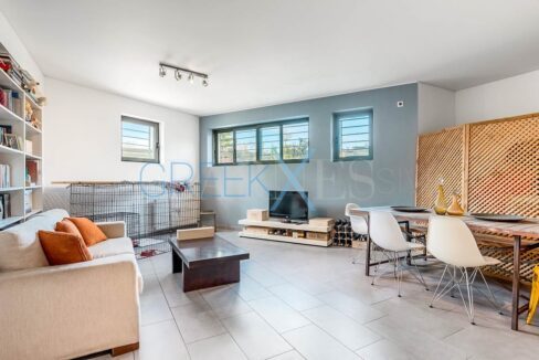 House for Sale in East Attica, Athens. Villa in Athens Greece for sale 5