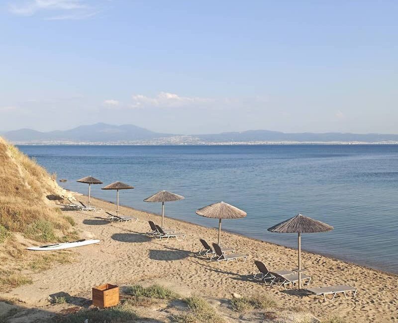 Building in very big land plot (200.000sqm) near Thessaloniki 1