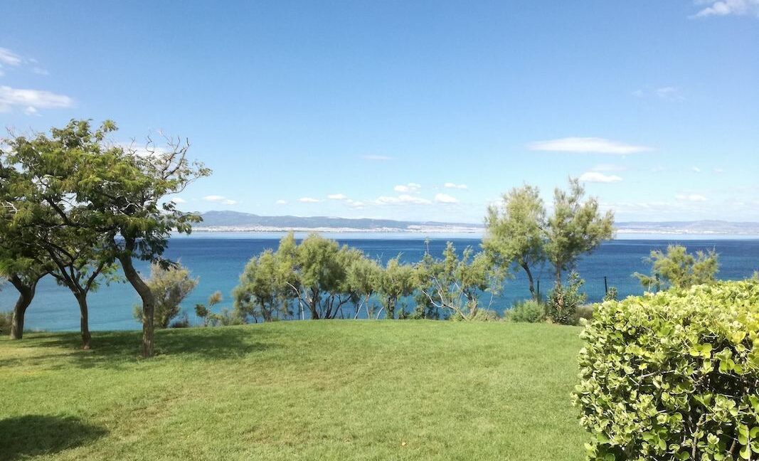 Building in very big land plot (200.000sqm) near Thessaloniki 8