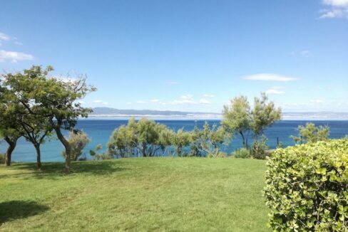 Building in very big land plot (200.000sqm) near Thessaloniki 8