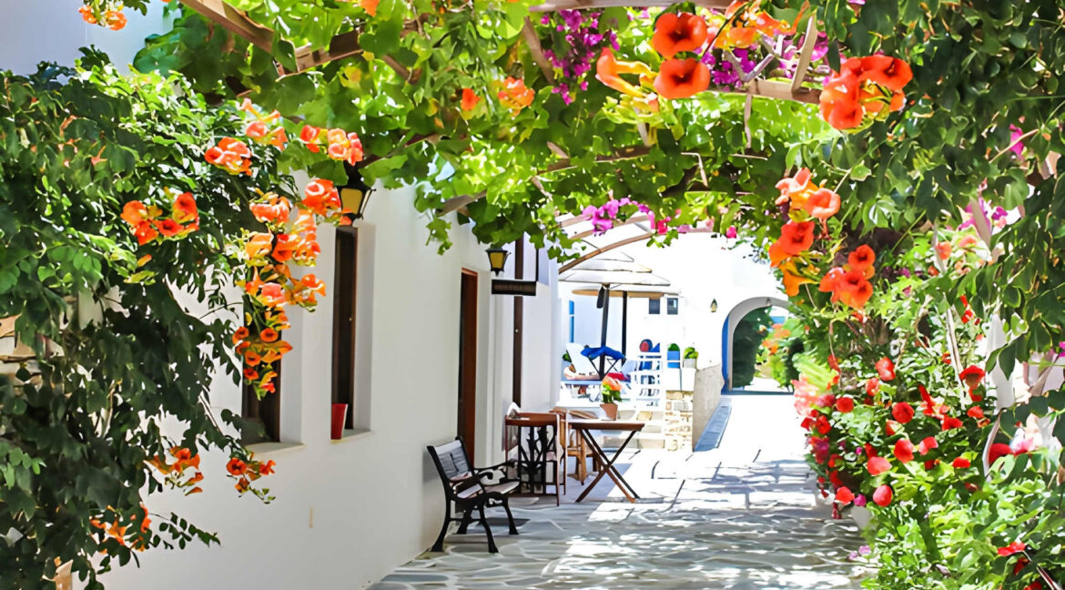 Seafront Hotel in Ios Cyclades Greece with 29 Rooms 5