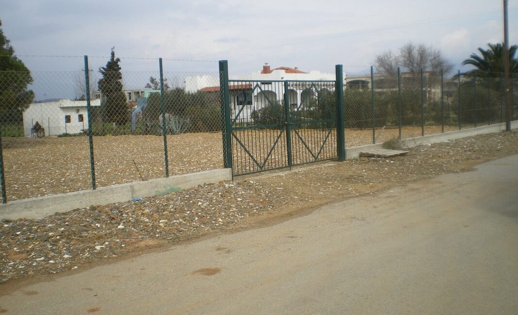 Seafront Land Halkidiki for sale, Land to build in Chalkidiki 5