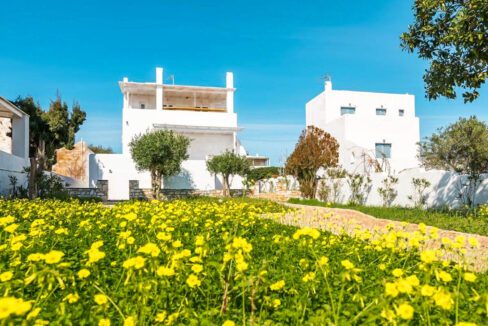 House for sale Paros Cyclades, Paros Properties Greece 12