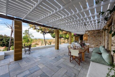 Superb Villa Paros Greece for sale, Luxury Villas Paros Cyclades 12