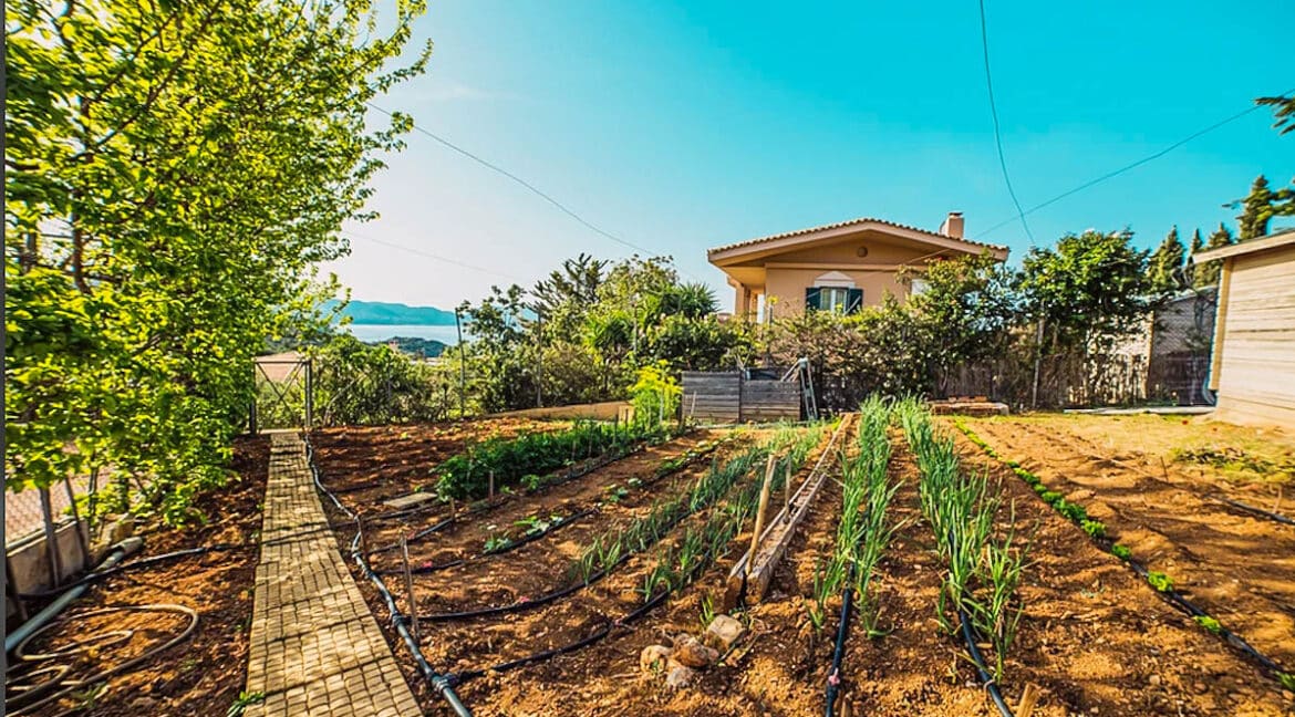 Villa in Athenian Riviera, Luxury Seaview Property for Sale Athens Greece 5