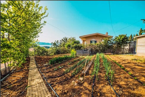 Villa in Athenian Riviera, Luxury Seaview Property for Sale Athens Greece 5