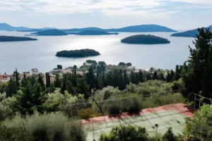 Complex of 2 Villas for sale Galini Lefkada Island