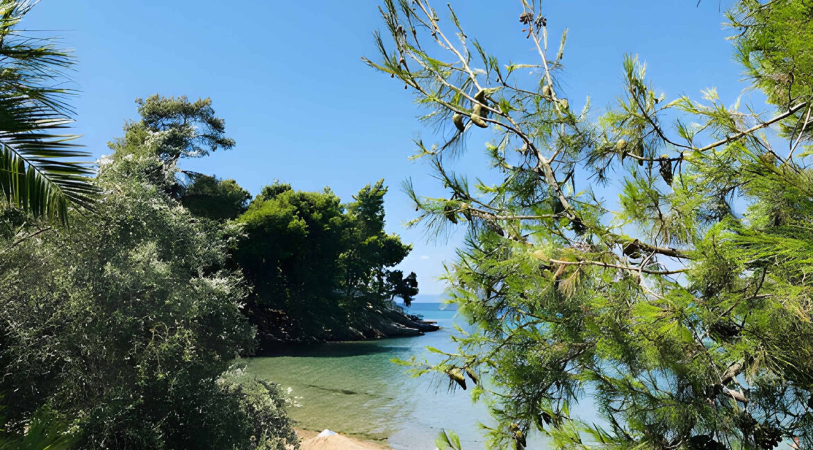 Seafront Hotel with Private Beach for Sale in Neos Marmaras, Sithonia 3