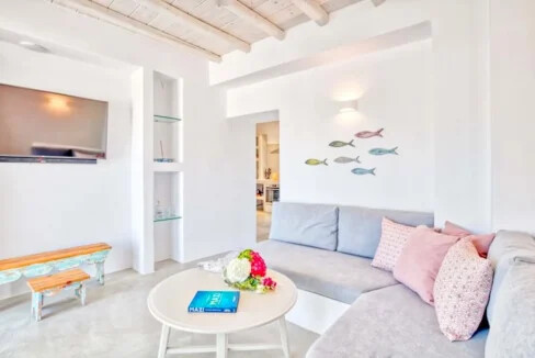 Luxury Property Paros Ampelas 12