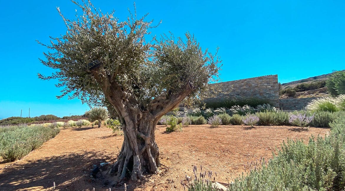 Luxury Private Villa Paros Greece for sale, Paros Luxury Property for sale 16