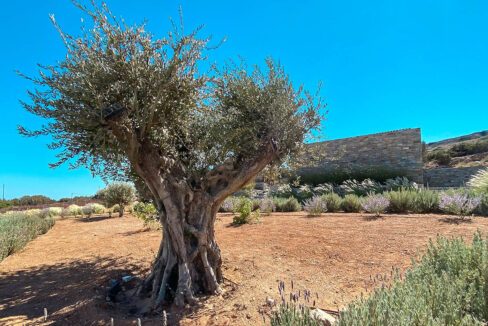 Luxury Private Villa Paros Greece for sale, Paros Luxury Property for sale 16