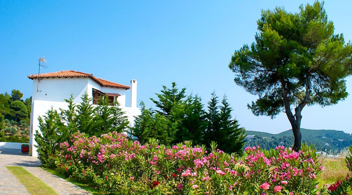 Villa with sea view in Skiathos Greece 17