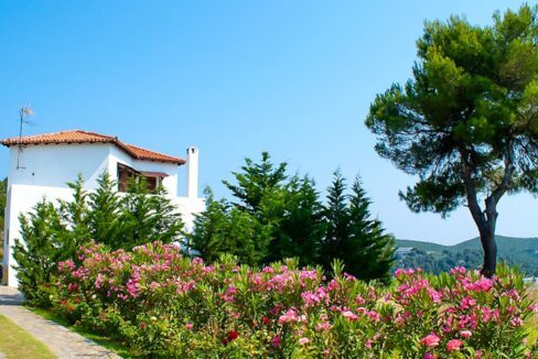 Villa with sea view in Skiathos Greece 17