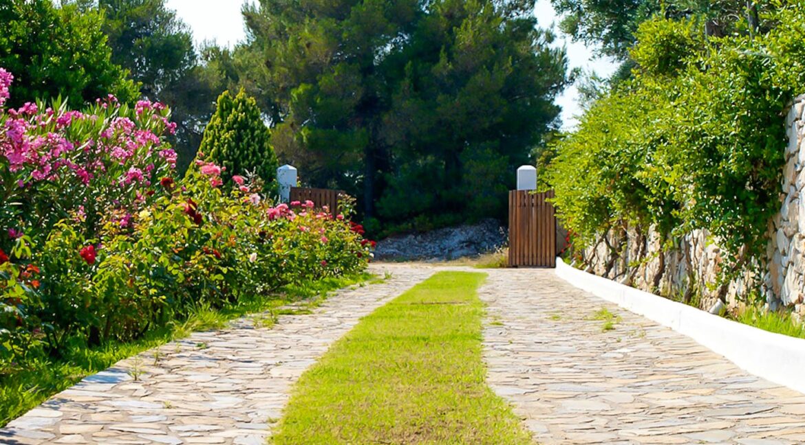 Villa with sea view in Skiathos Greece 18