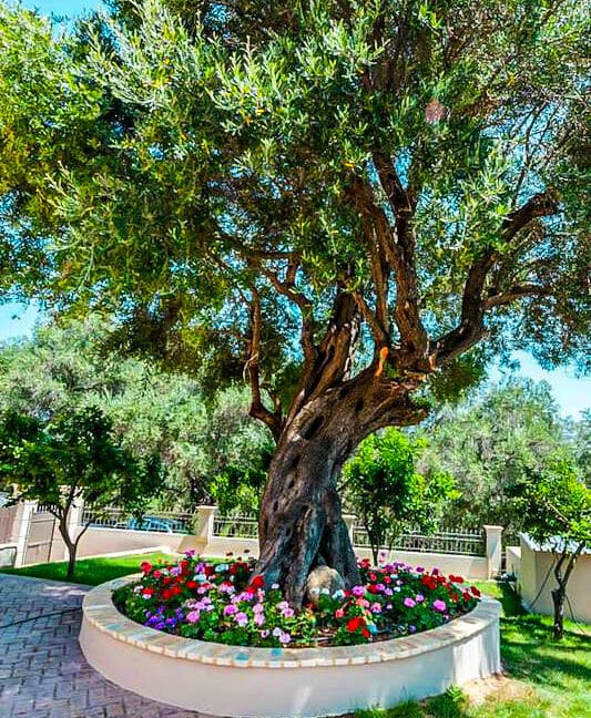 villas in Corfu Greece! Sea View Villa for Sale in Corfu Island Greece for sale 21
