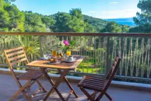 Hotel for sale Skiathos Island Greece