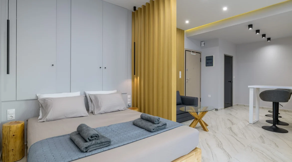 Luxurious Loft Apartment in the Heart of Athens - Argiroupoli 12