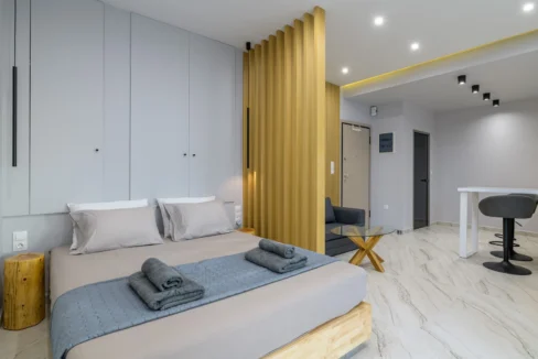 Luxurious Loft Apartment in the Heart of Athens - Argiroupoli 12