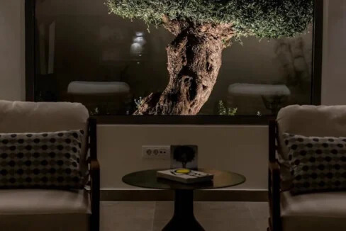 For Sale Exceptional Luxury Villa in Rhodes 44