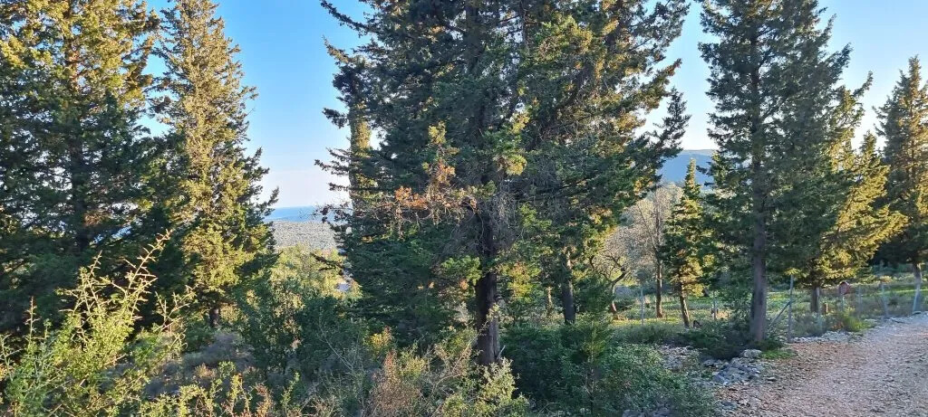 Land for Sale in Lefkada 2