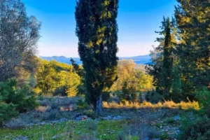 Land for Sale in Lefkada