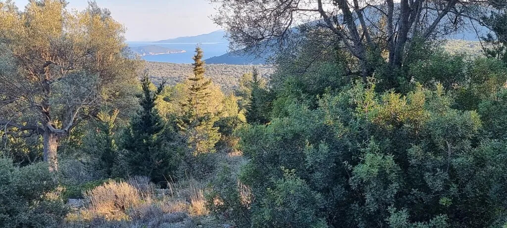 Land for Sale in Lefkada 6