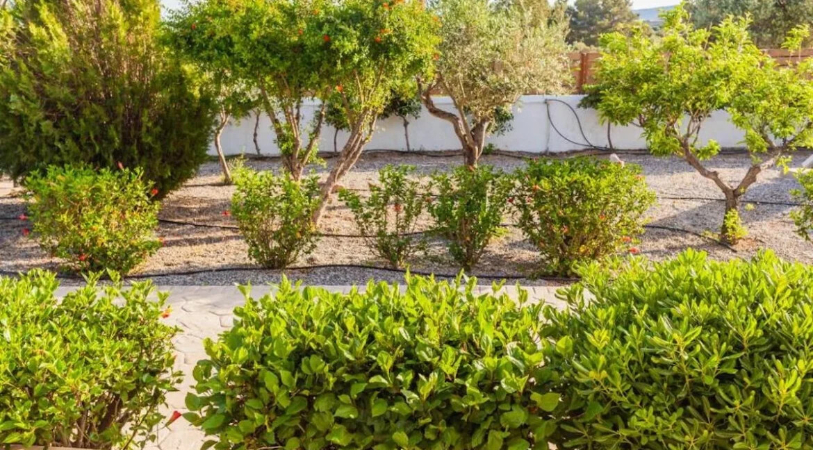 Two houses for sale in South Rhodes Greece 31