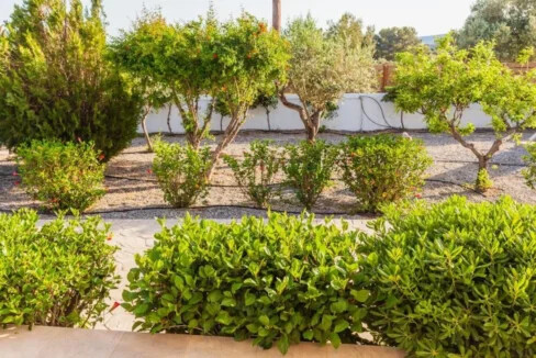 Two houses for sale in South Rhodes Greece 31