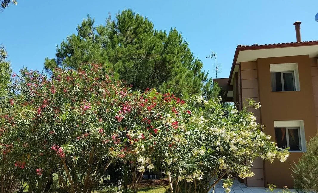 Villa Complex in Kriopigi Halkidiki 2
