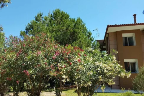 Villa Complex in Kriopigi Halkidiki 2